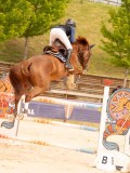 DSC08399 DSC08399
