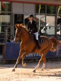 DSC05348 DSC05348