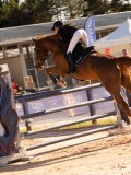 DSC05349 DSC05349