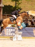DSC03688 DSC03688