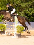 DSC07786 DSC07786