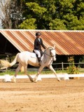 DSC02635 DSC02635