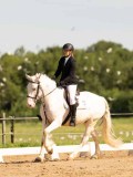DSC02643 DSC02643
