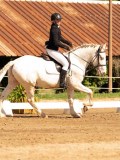 DSC02649 DSC02649