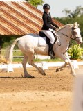 DSC02650 DSC02650