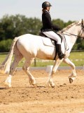 DSC02654 DSC02654