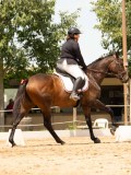 DSC03394 DSC03394