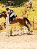 DSC06588 DSC06588