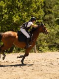 DSC06596 DSC06596