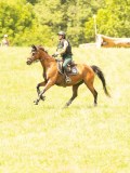 DSC00263 DSC00263