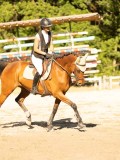 DSC08299 DSC08299
