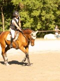 DSC08300 DSC08300