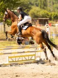 DSC07401 DSC07401