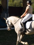DSC05543 DSC05543