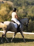 DSC05544 DSC05544