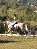 DSC05546 DSC05546