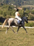 DSC05548 DSC05548
