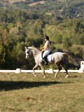 DSC05549 DSC05549