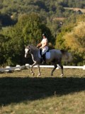 DSC05550 DSC05550