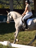 DSC05555 DSC05555