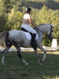 DSC05559 DSC05559
