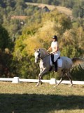 DSC05560 DSC05560