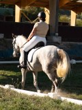 DSC05564 DSC05564