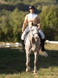 DSC05568 DSC05568