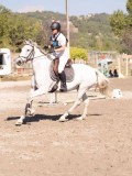 DSC03508 DSC03508