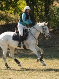DSC06690 DSC06690