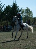 DSC_6002 DSC_6002