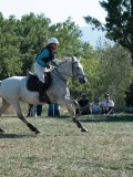 DSC_6008 DSC_6008