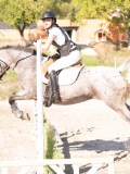 DSC03219 DSC03219