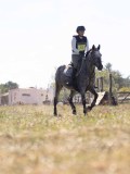 DSC04597 DSC04597