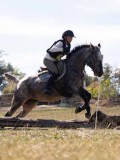 DSC04598 DSC04598