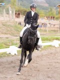 DSC02430 DSC02430