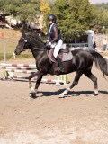 DSC03798 DSC03798