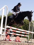 DSC03804 DSC03804