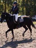 DSC03815 DSC03815