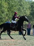 DSC_6086 DSC_6086