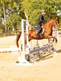 DSC08515 DSC08515