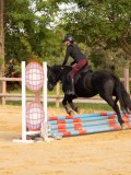 DSC07856 DSC07856