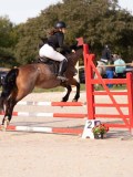 DSC07733 DSC07733