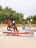 DSC07737 DSC07737