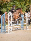 DSC07743 DSC07743