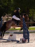 DSC07745 DSC07745