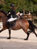 DSC07748 DSC07748