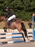 DSC07749 DSC07749