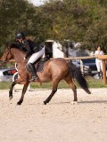 DSC07750 DSC07750