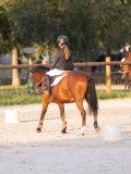 DSC05915 DSC05915